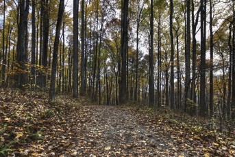old_rag_mountain_jon_corun_photography18