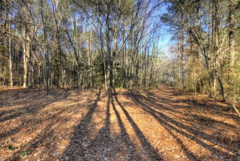 deleware_beach_winter_hdr08
