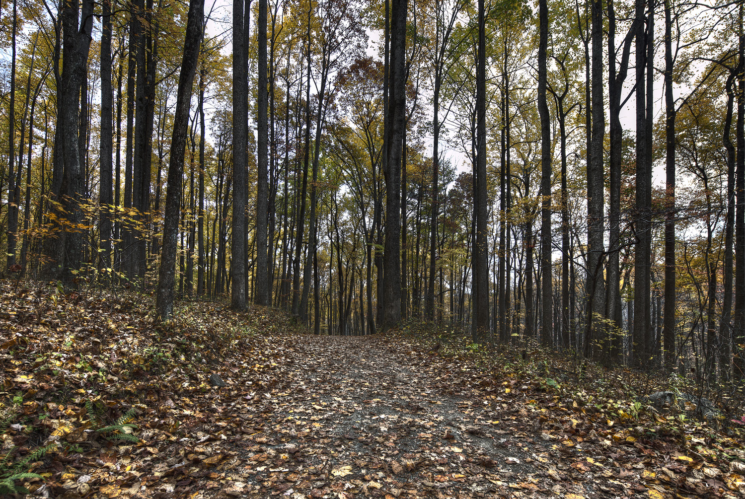 Old Rag Mountain Fall Photos - Jon Corun Old rag mountain weather